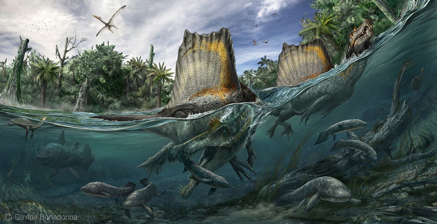 spinosaurus-nejvetsi-dravy-dinosaurus